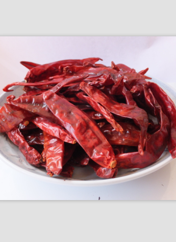 ӡ��S4��������������4�f����SHU��