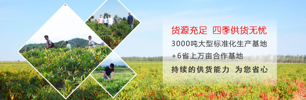 ���������I(y��)�N(xi��o)�۾W(w��ng)�j(lu��)���wȫ��(gu��)