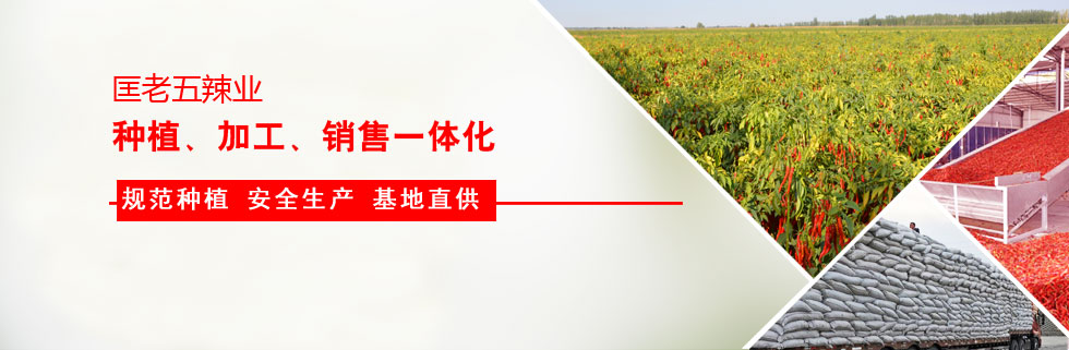 ���������I(y��)�c¡ƽ�߿������зN�I(y��)����