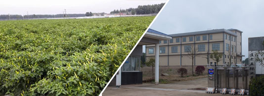 ӡ��S4��������������4�f����SHU��